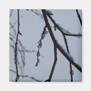 Icy Branches Winter Nature Photography Magnet