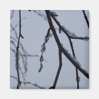 Icy Branches Winter Nature Photography Magnet