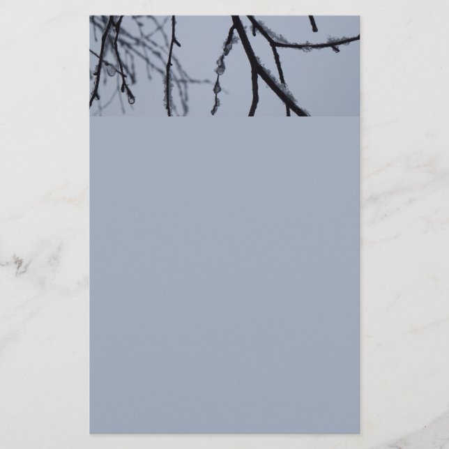 Icy Branches Winter Nature Photography Stationery (Front)