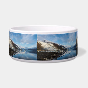 Icy College Fjord