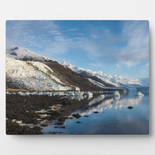 Icy College Fjord Plaque