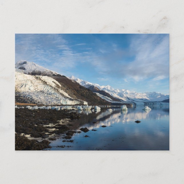 Icy College Fjord Postcard (Front)
