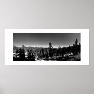 Icy Forest Black and White Poster