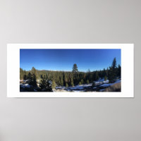 Icy Forest Panoramic Colour Photography