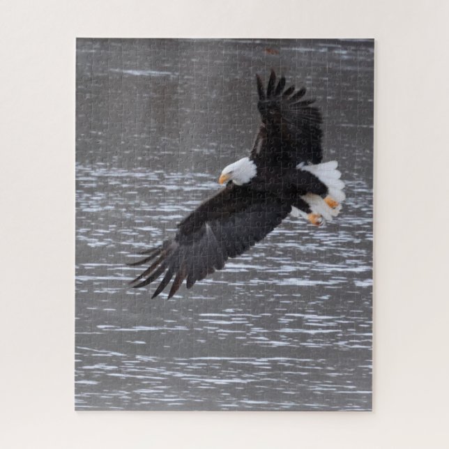 Icy Landing: Bald Eagle Puzzle (Vertical)