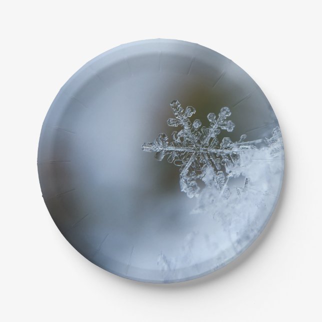 Icy Snowflake Paper Plate (Front)