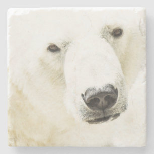 Icy Stare of a Polar Bear Stone Coaster