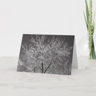 IcyTree Card