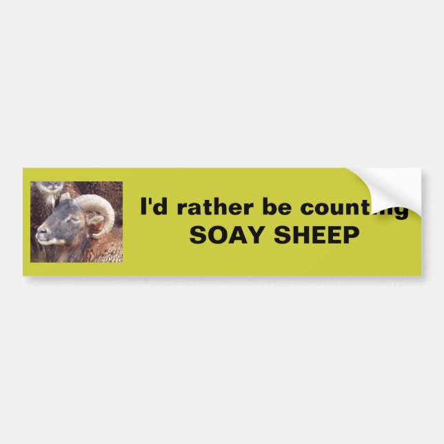 I'd rather be counting SOAY SHEEP Bumper Sticker (Front)