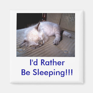 I'd Rather Be Sleeping!!! Magnet