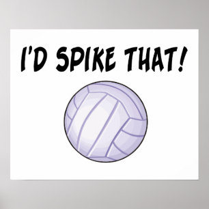 I'd Spike That Volleyball Poster