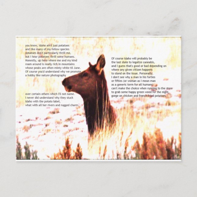 idaho ain't just potatoes postcard (Front)