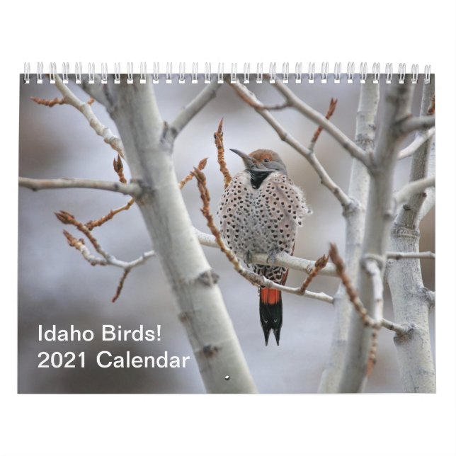 Idaho Birds! 2021 Calendar (Cover)