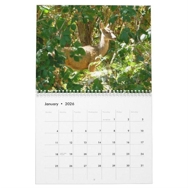 Idaho Calendar (Jan 2026)