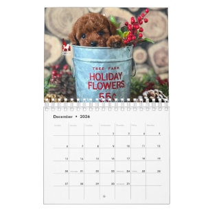 Idaho Jewels Poodles   2026 Calendar