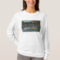 Idaho Lake Scene with Lily PadsIdaho