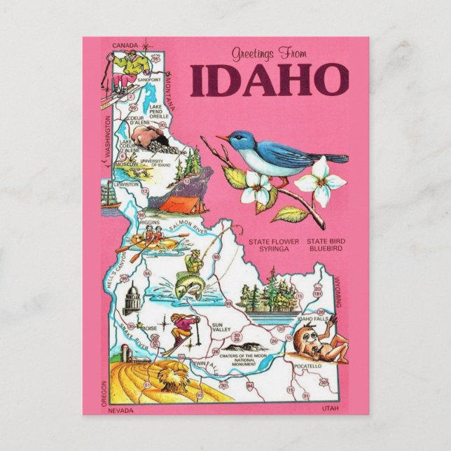 Idaho Map Vintage Pink  Postcard (Front)