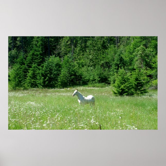 Idaho Meadow - Print (Front)