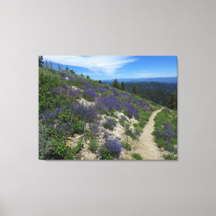 Idaho Mountain Hiking Trail Canvas Print