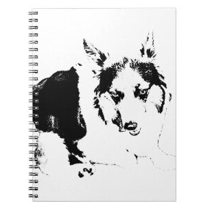 Ideas with a Dash of Sass Notebook
