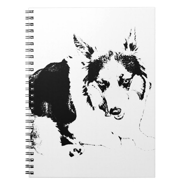 Ideas with a Dash of Sass Notebook (Front)