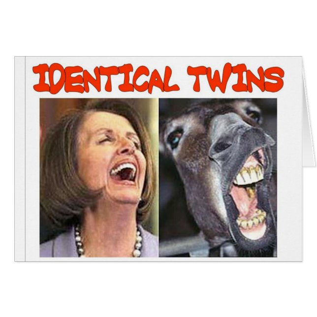 IDENTICAL TWINS (Front Horizontal)