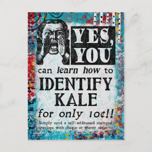 Identify Kale - Funny Vintage Ad Postcard