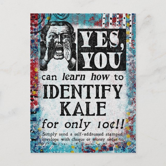 Identify Kale - Funny Vintage Ad Postcard (Front)