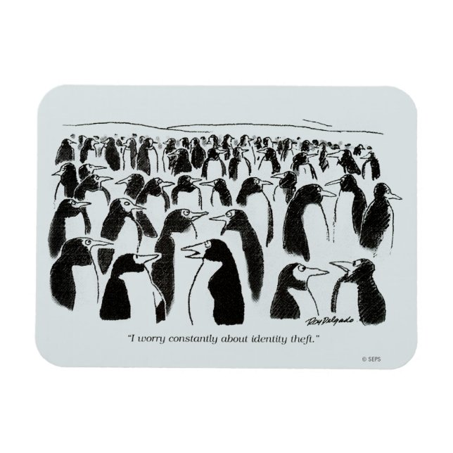 Identity Theft Magnet (Horizontal)