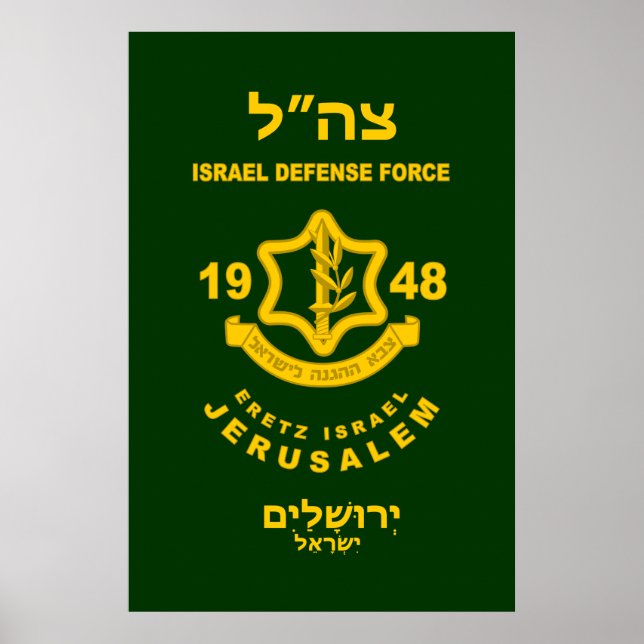 IDF - Sar El Volunteer Program Poster (Front)