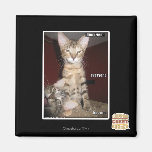 Idiot Friends Magnet (Front)