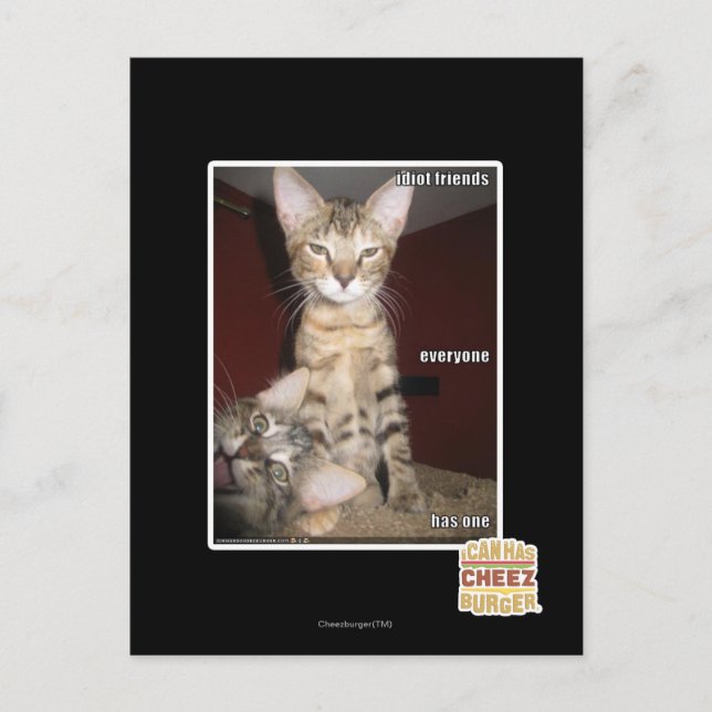 Idiot Friends Postcard (Front)