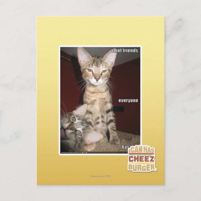 Idiot Friends Postcard (Front)