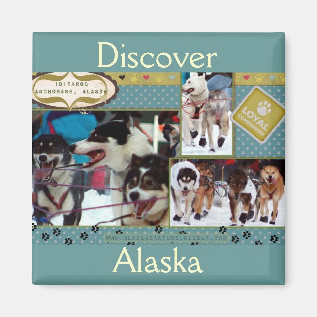 Iditarod Loyal Companions Magnet (Front)
