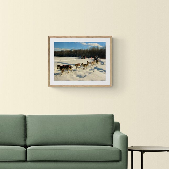 Iditarod Trail Sled Dog Race Poster (Creator Uploaded)