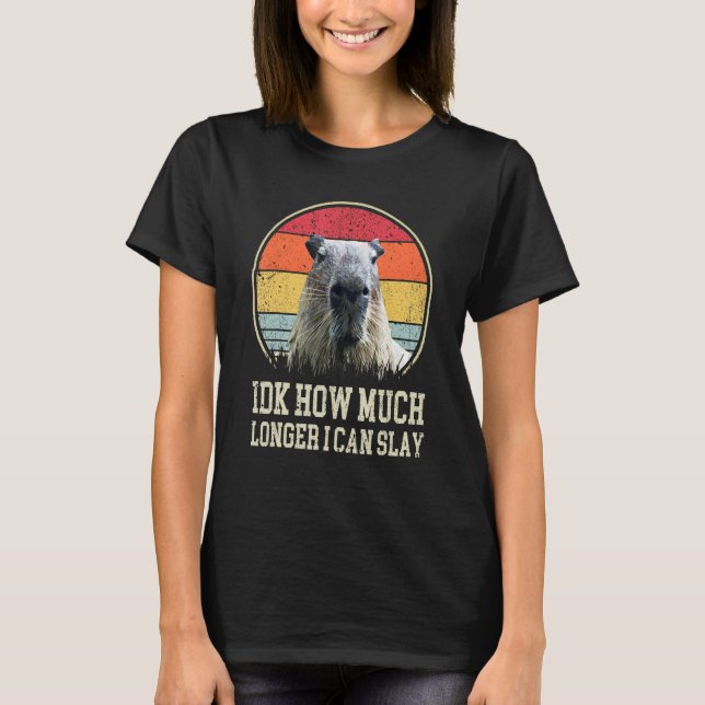 Idk How Much Longer I Can Slay Capybara  Quote T-Shirt (Front)