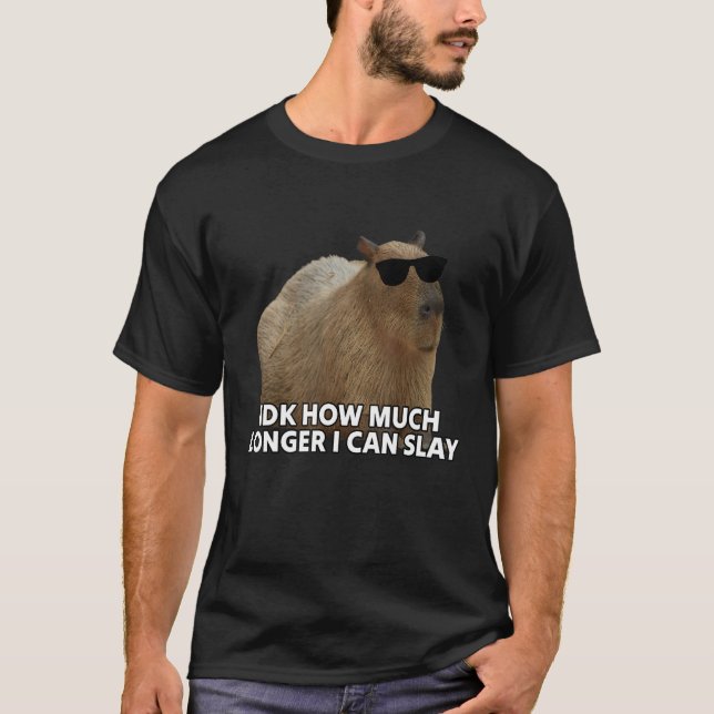 Idk How Much Longer I Can Slay Capybara Sarcastic  T-Shirt (Front)