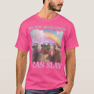 Idk How Much Longer I Can Slay Capybara T-Shirt