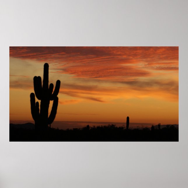 IDKP Arizona cactus in the sunset Poster (Front)