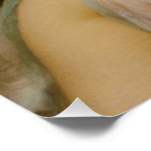 Idle Moments by John William Godward Poster