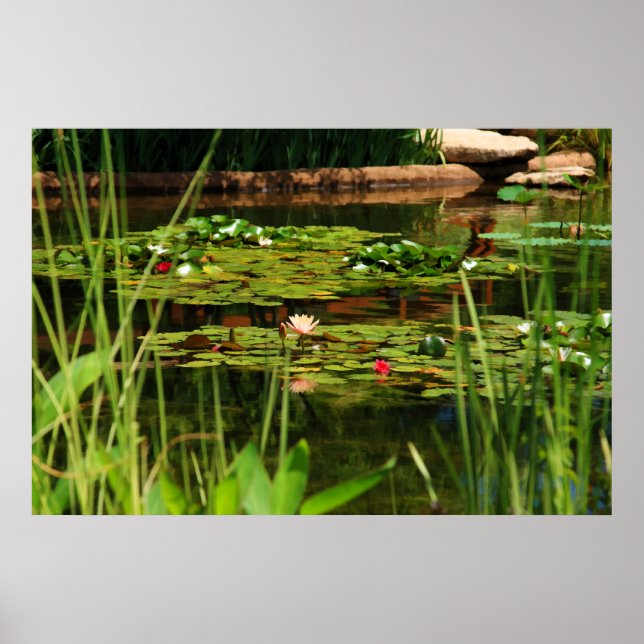 Idyllic Afternoon Poster (Front)