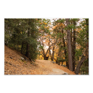 Idyllwild - Pine Cove Photo Print