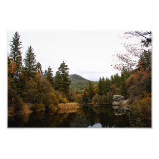 Idyllwild - Pine Cove Photo Print