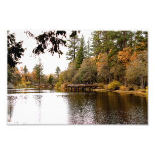 Idyllwild Pine - Cove Photo Print