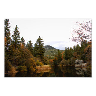 Idyllwild - Pine Cove Photo Print