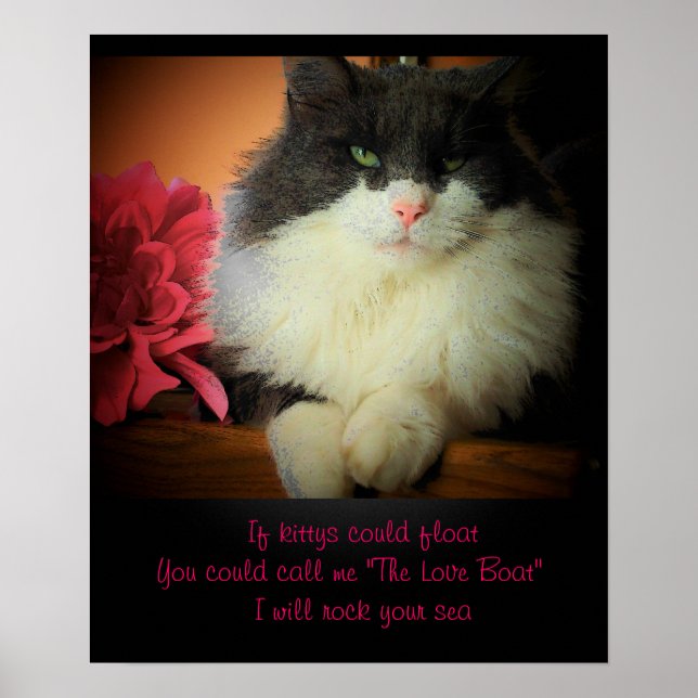 If cats could float poster (Front)