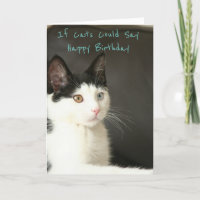 If Cats Could Say Happy Birthday
