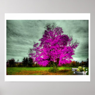 If God Played Dice with the Universe Poster