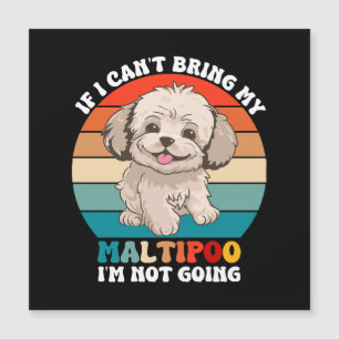 If I Can't Bring My Maltipoo Dog, I'm Not Going