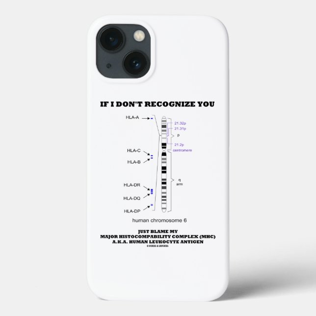 If I Don't Recognise You Blame My MHC Chromosome Case-Mate iPhone Case (Back)